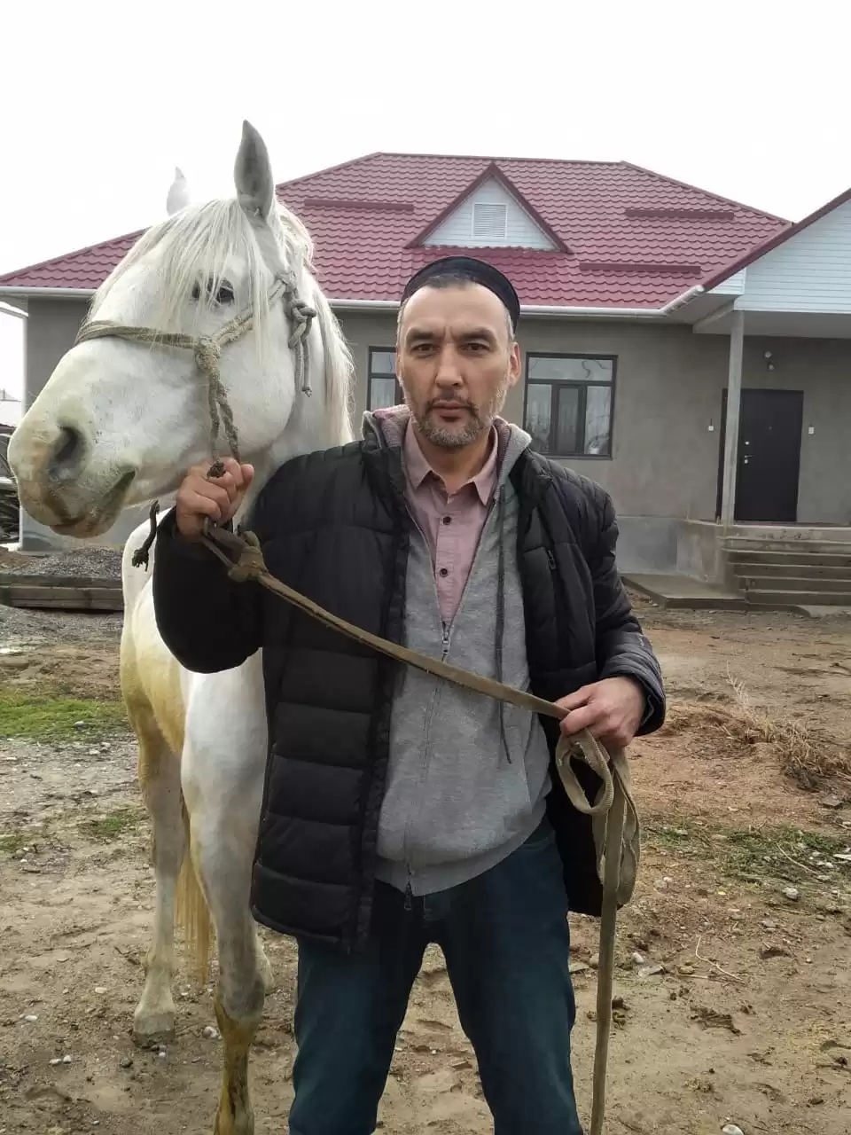 Driver Tashkent City- Shymkent City Transfer