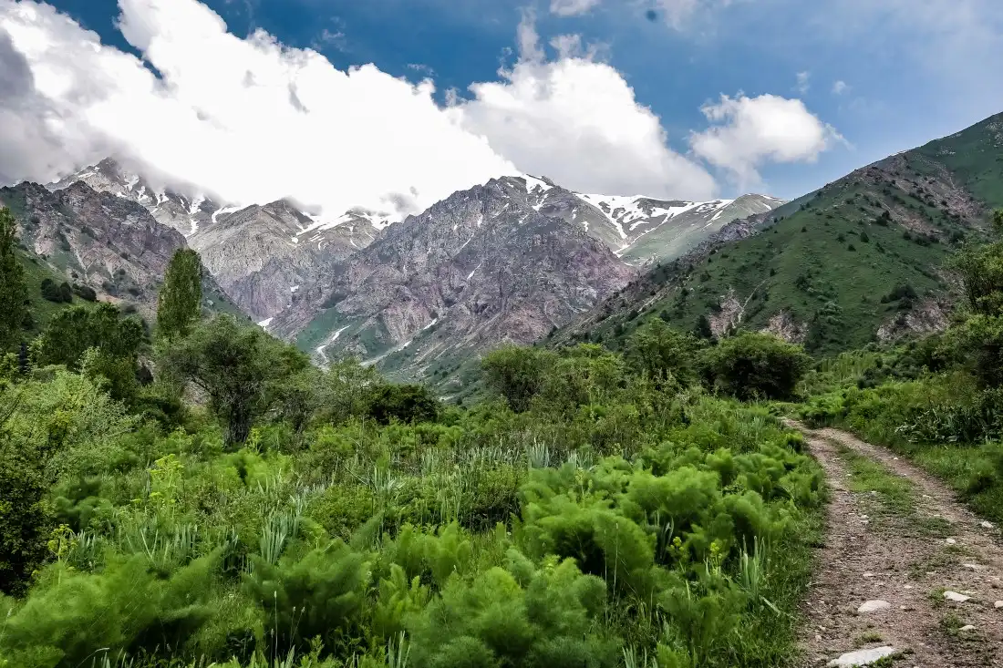Into The Green Heart Of Central Asia