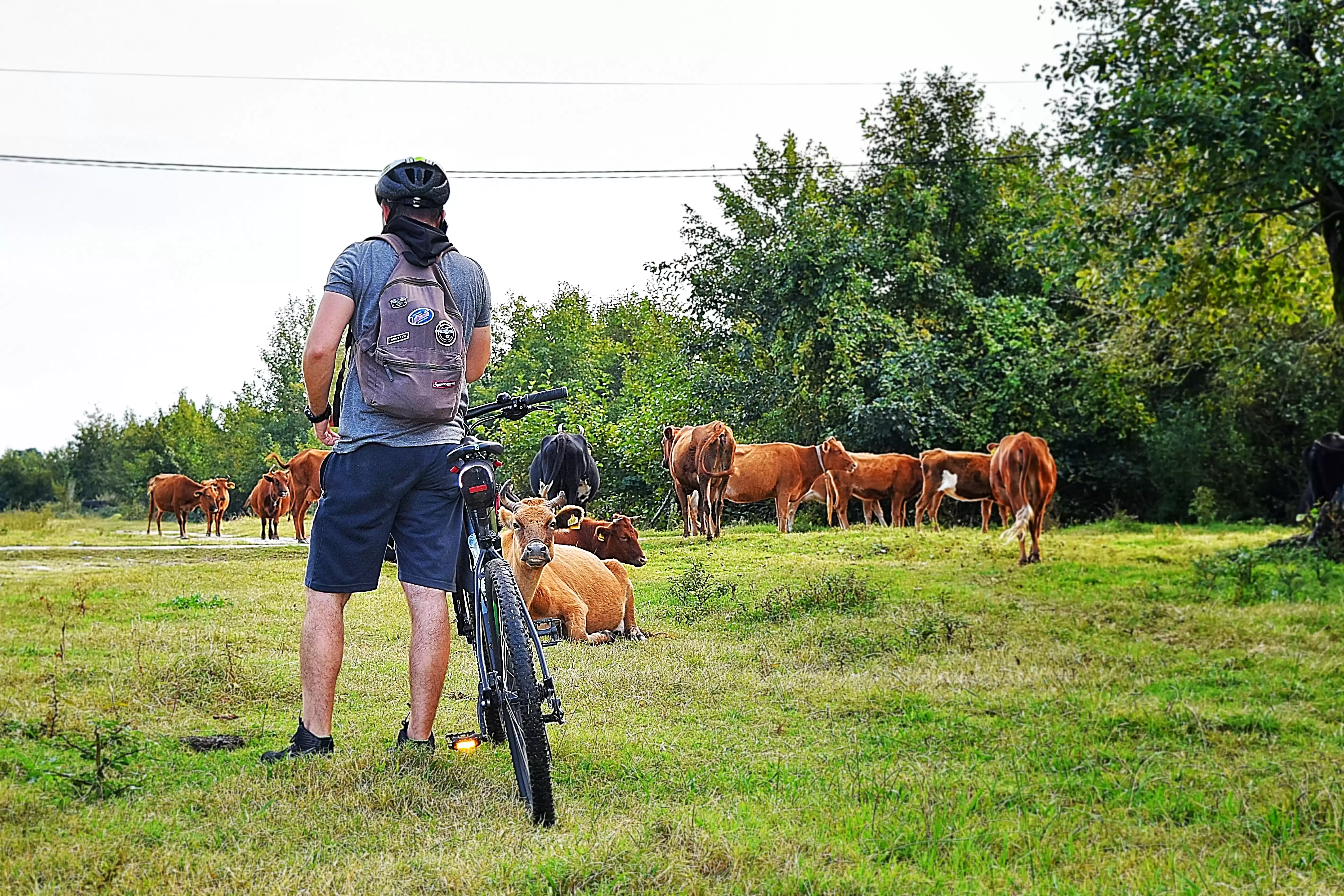 On The Iron Horse And Under Oars Along The Ancient Kol
