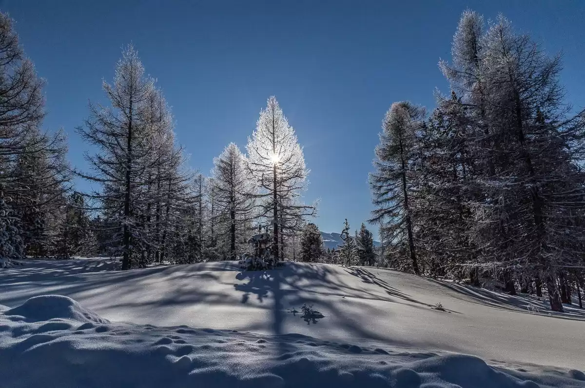 Experience The Siberian Altai Region - 8 Days Best Of