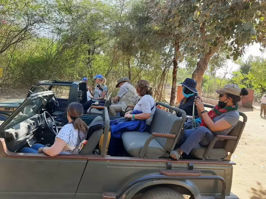 Rajasthan Wildlife Tour