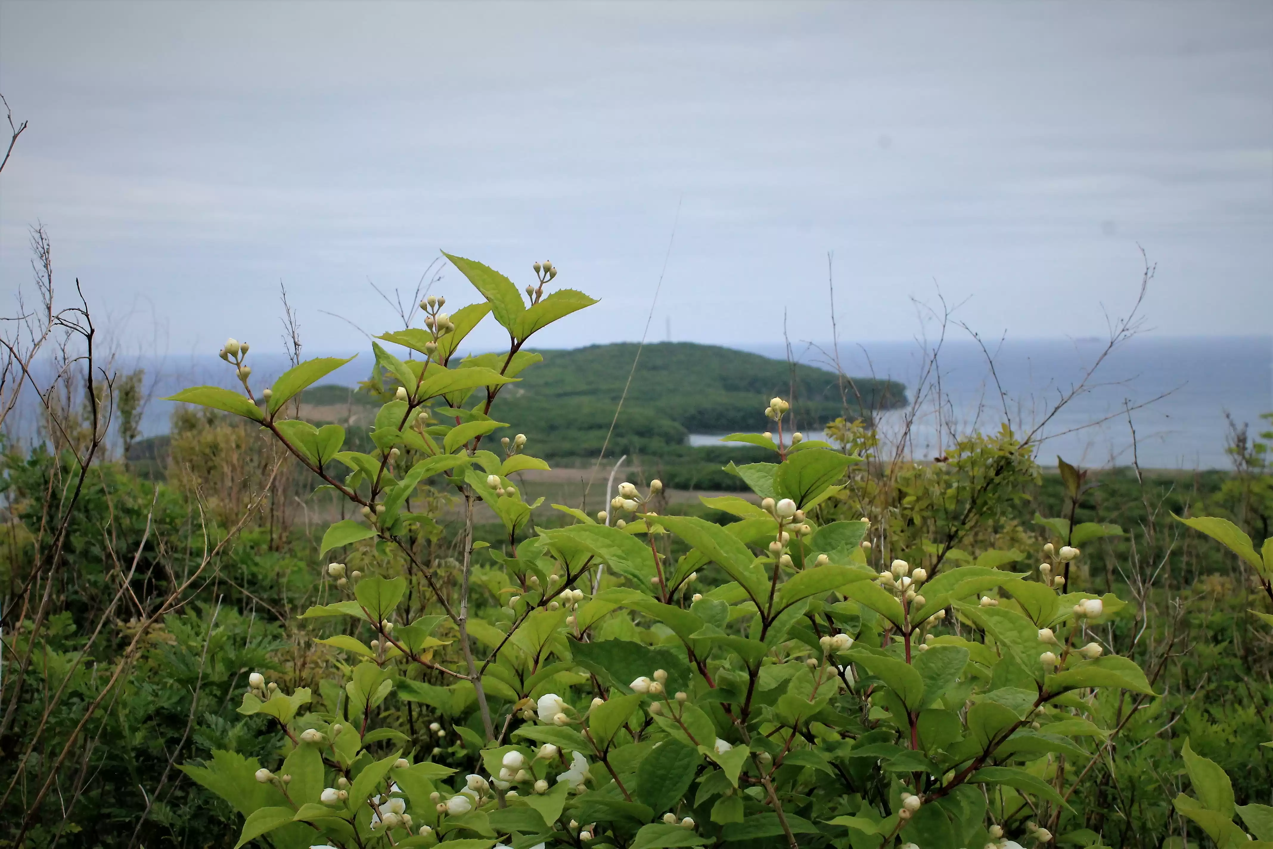 Russky Island And Its History