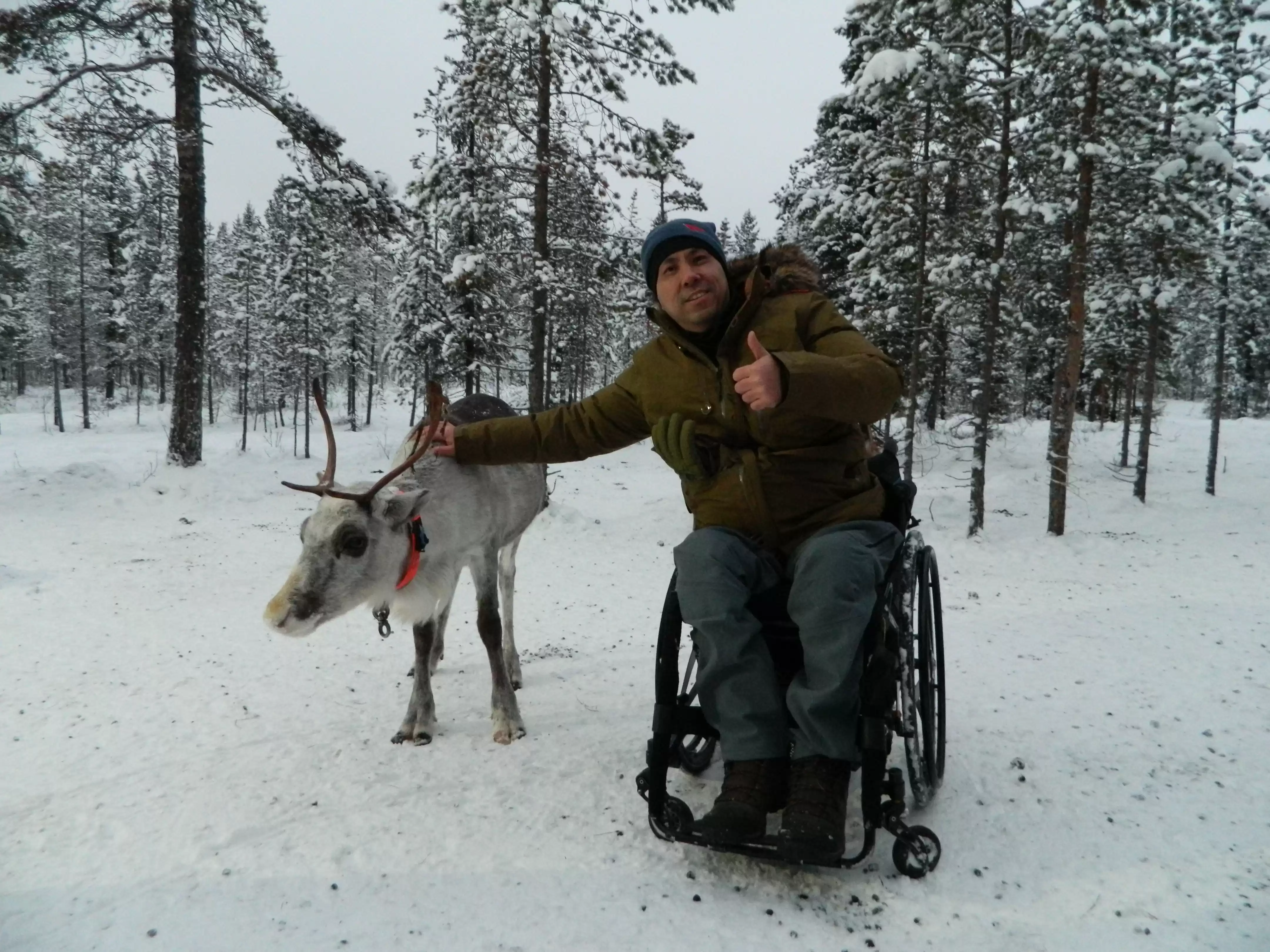 Visiting Reindeers In Sami Village From Murmanks