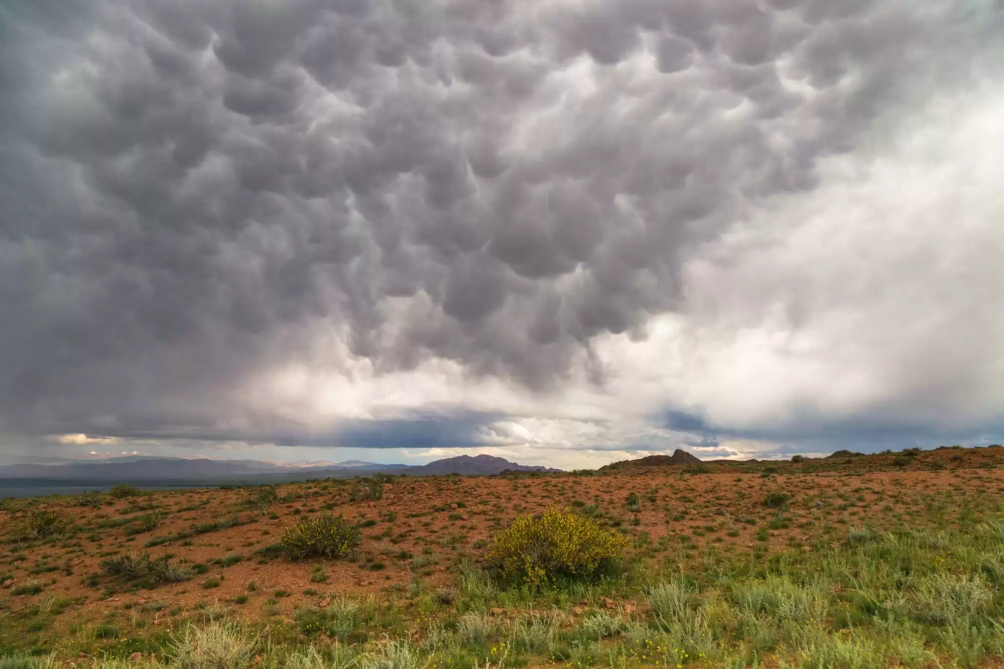 Sacred Altai - 11 Day Highlight Tour
