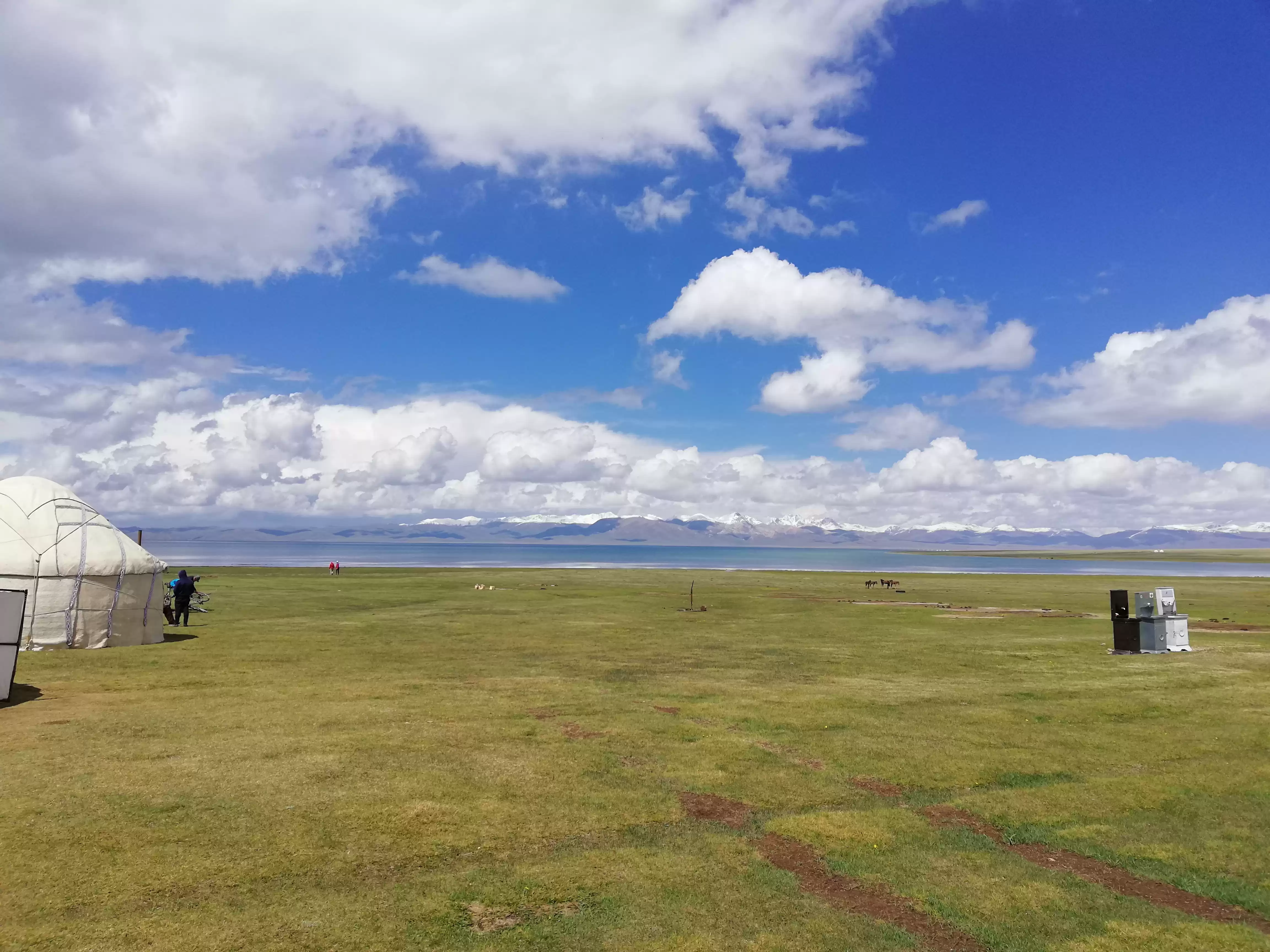 Safe And Reliable Guide And Driver In Central Asia