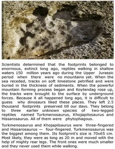 Splendor Of Turkmenistan