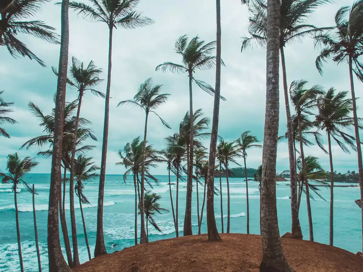 Sri Lanka Beach Tour With Ceylon Travel Dream