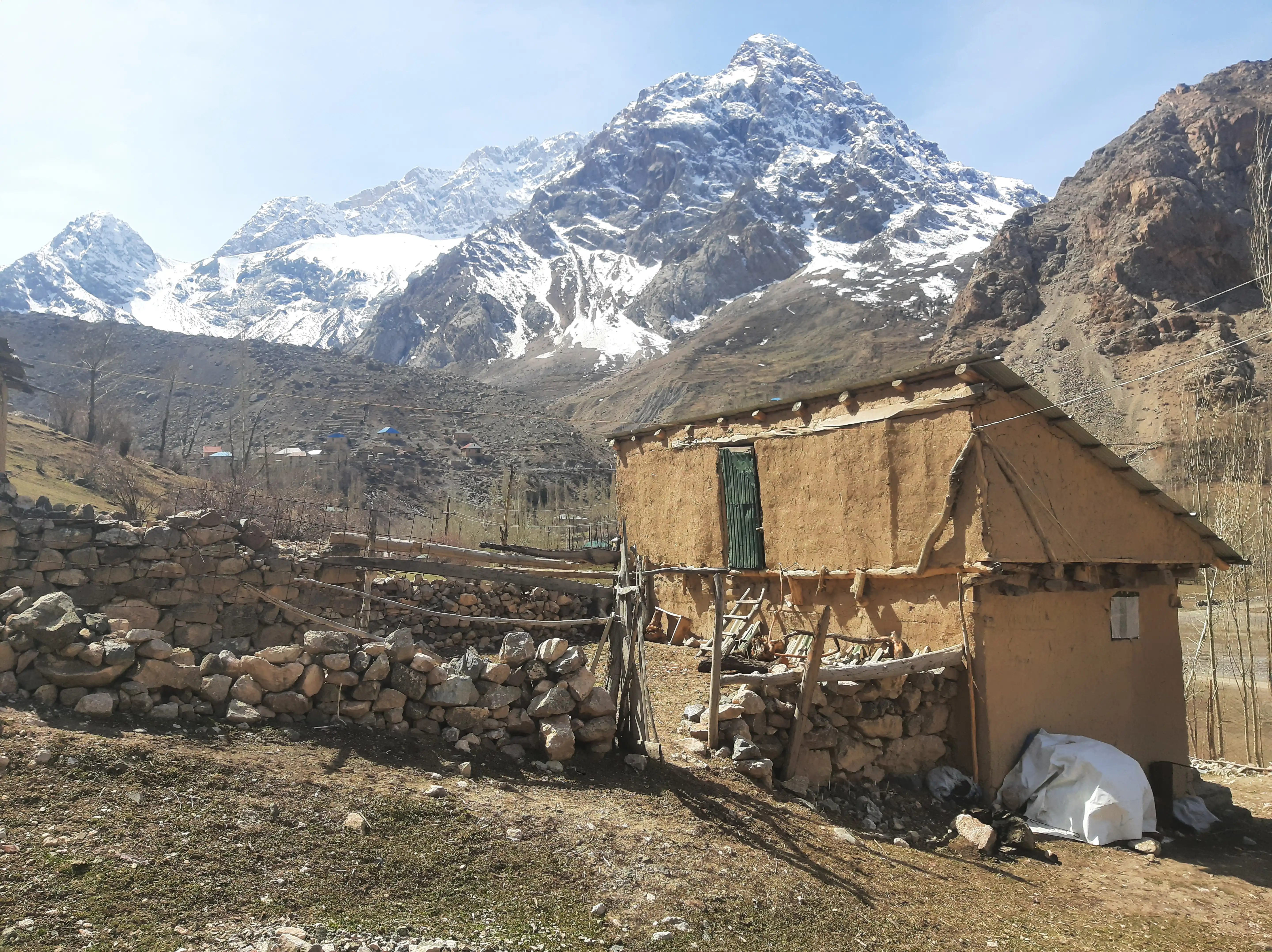 Onlayn porno video: Buzuqlar oilasi