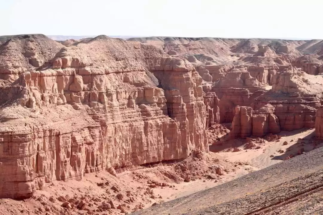 Katta becerdin mushukni tomosha qiling