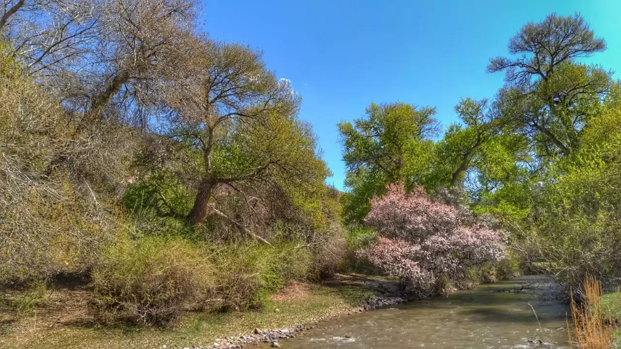 Transport To The Charyn Canyon Valley Of Castles