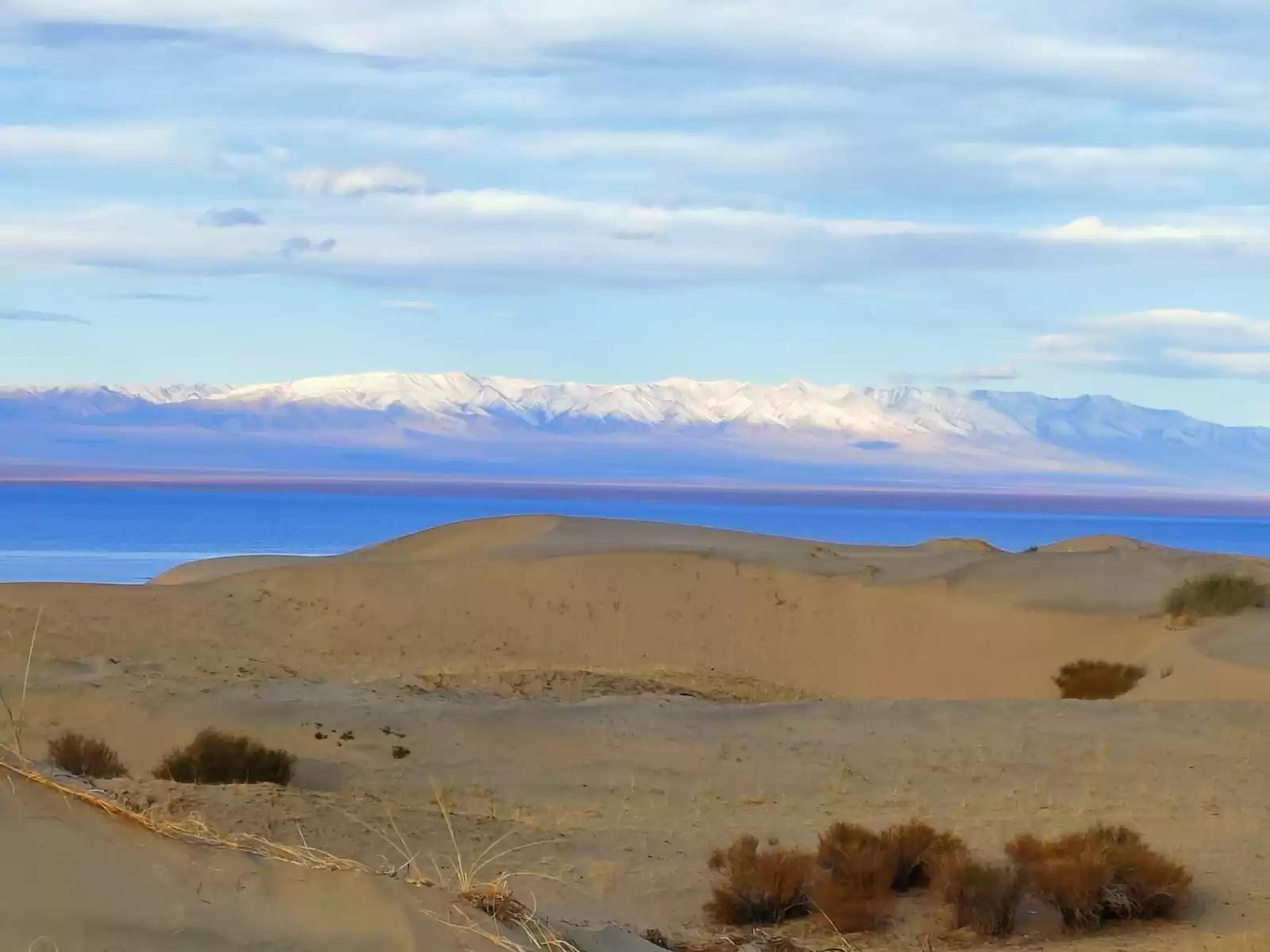 Voyaga yetgan suratga tushing