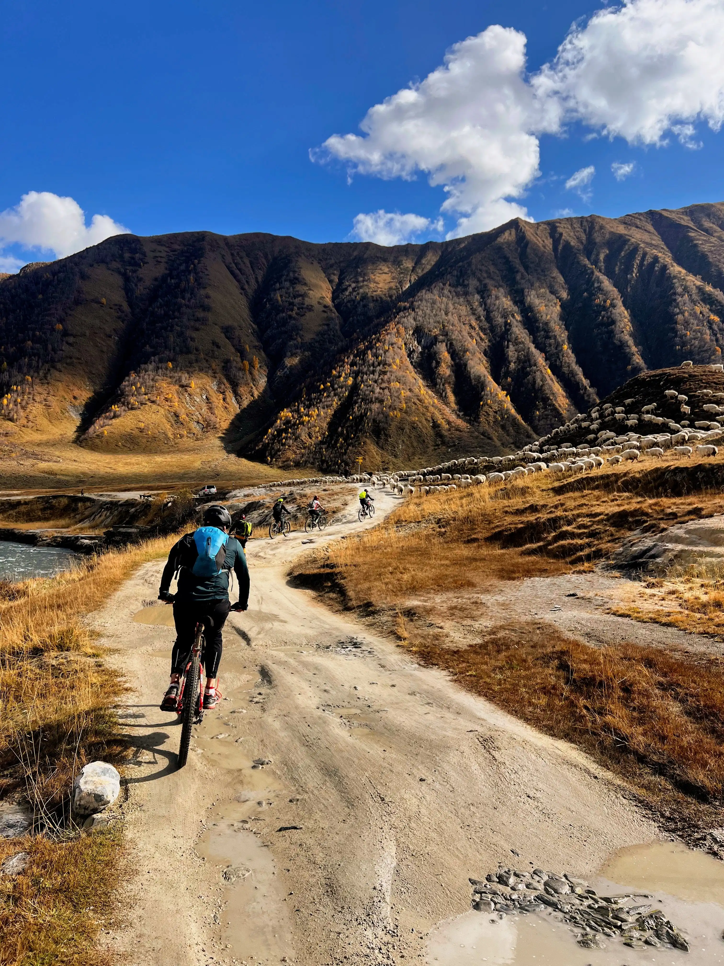 Unforgettable Cycling & Adventure Tours In Georgia